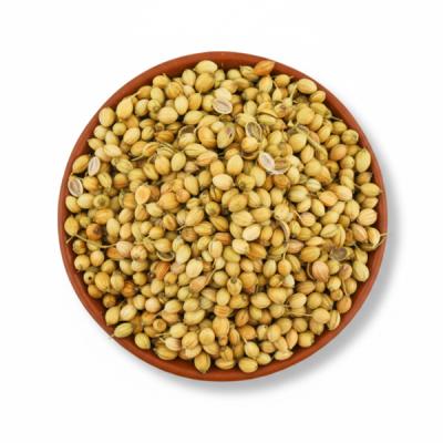 Coriander (Dhonia)